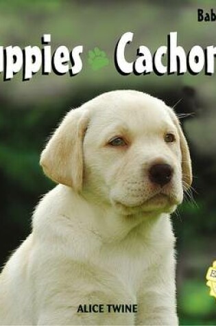 Cover of Puppies / Cachorros