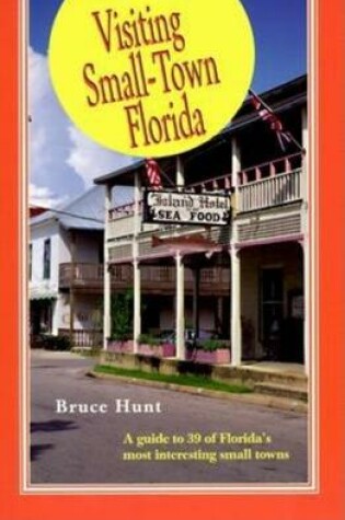 Cover of Visiting Small-Town Florida