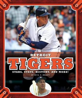 Book cover for Detroit Tigers