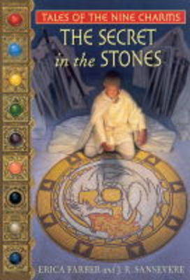 Book cover for The Secret in the Stones