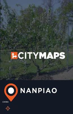 Book cover for City Maps Nanpiao China