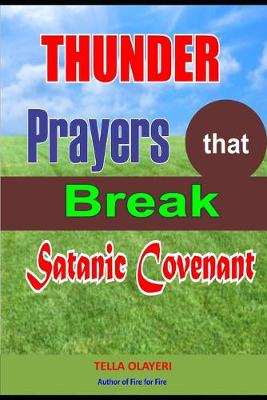 Book cover for Thunder Prayers that Break Satanic Covenant