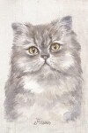 Book cover for Persian Cat Portrait Notebook