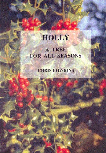 Book cover for Holly