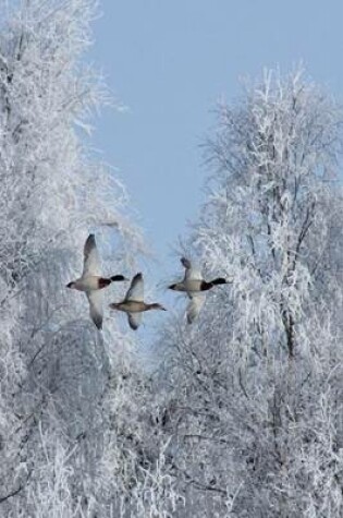 Cover of Anas Platyrhynchos Mallard Ducks Flying in the Winter