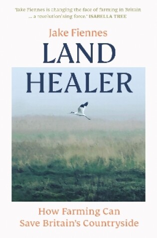 Cover of Land Healer