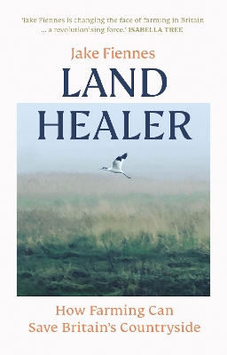 Cover of Land Healer