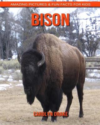 Book cover for Bison