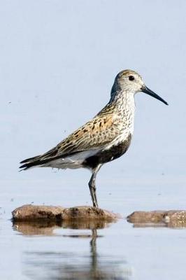 Book cover for Dunlin Bird Journal