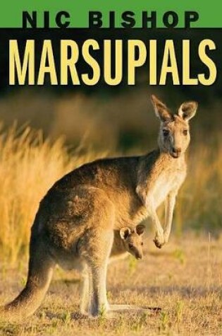 Cover of Nic Bishop: Marsupials