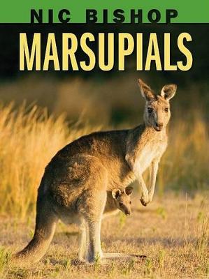 Book cover for Nic Bishop: Marsupials