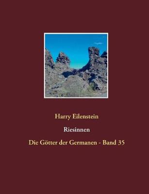 Book cover for Riesinnen