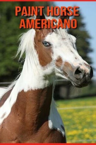 Cover of Paint Horse Americano