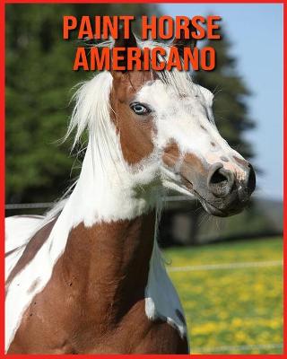 Book cover for Paint Horse Americano