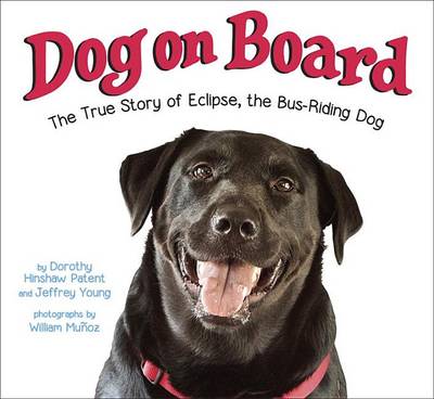 Book cover for Dog on Board