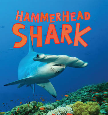 Cover of Discover Sharks: Hammerhead Shark