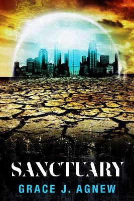 Book cover for Sanctuary