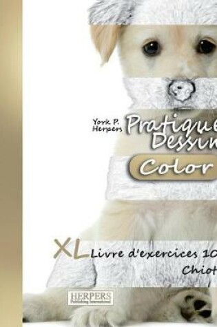 Cover of Pratique Dessin [Color] - XL Livre d'exercices 10