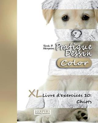 Cover of Pratique Dessin [Color] - XL Livre d'exercices 10