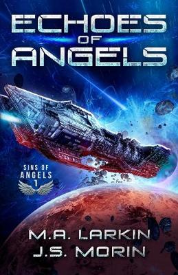 Book cover for Echoes of Angels