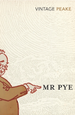 Book cover for Mr Pye