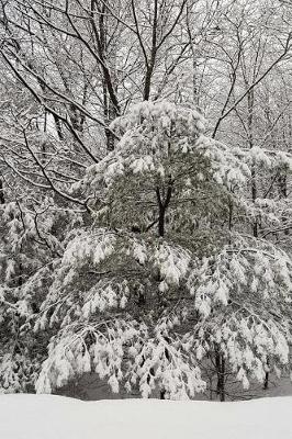 Cover of Snow Covered Evergreen Scenic Winter Photo Journal