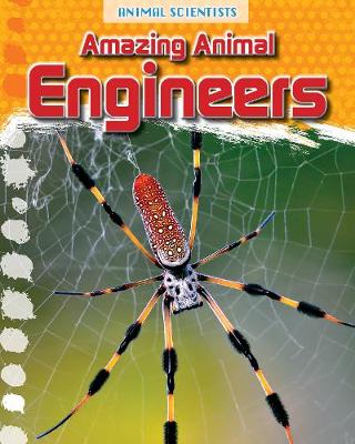 Book cover for Amazing Animal Engineers