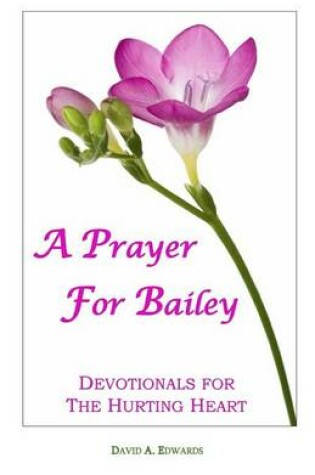 Cover of A Prayer for Bailey