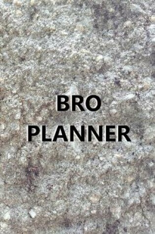 Cover of 2020 Daily Planner For Men Bro Planner Engraved Carved Stone Style Image 388 Pages