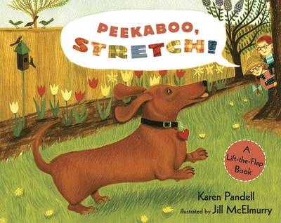 Book cover for Peekaboo, Stretch!