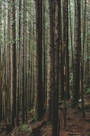 Cover of Spindly Pine Tree Forest