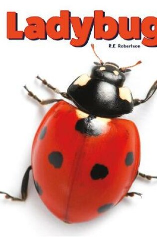 Cover of Ladybug