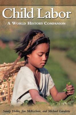 Book cover for Child Labor