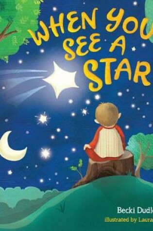 Cover of When You See a Star