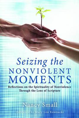 Book cover for Seizing the Nonviolent Moments