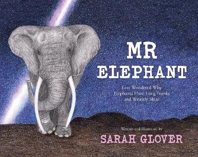 Book cover for Mr Elephant