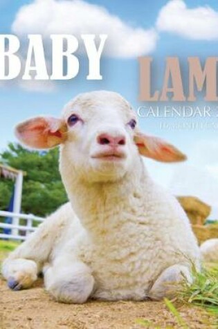 Cover of Baby Lamb Calendar 2020