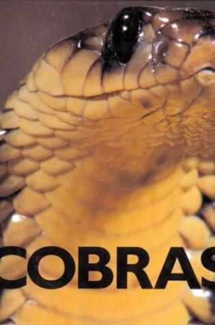 Cover of Cobras