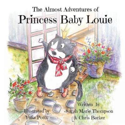 Book cover for The Almost Adventures of Princess Baby Louie