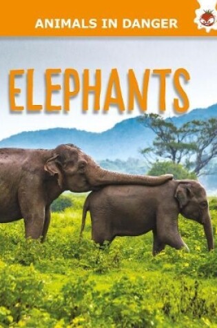 Cover of Elephants