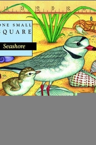 Cover of Seashore