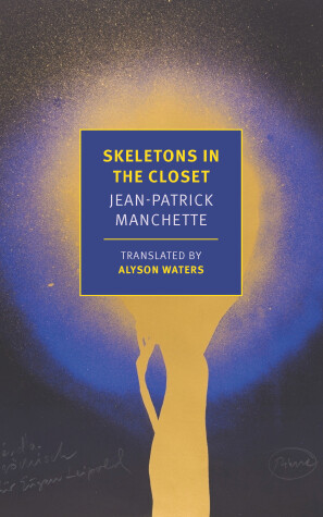 Book cover for Skeletons in the Closet