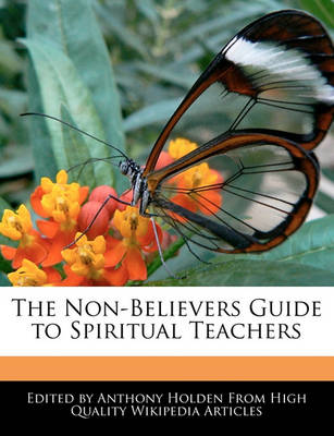 Book cover for The Non-Believers Guide to Spiritual Teachers
