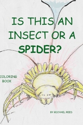 Cover of Is This an Insect or a Spider