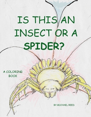 Book cover for Is This an Insect or a Spider