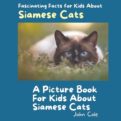Book cover for A Picture Book for Kids About Siamese Cats