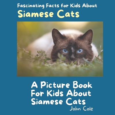 Cover of A Picture Book for Kids About Siamese Cats