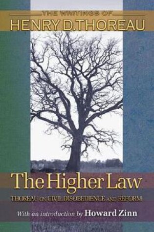 Cover of The Higher Law