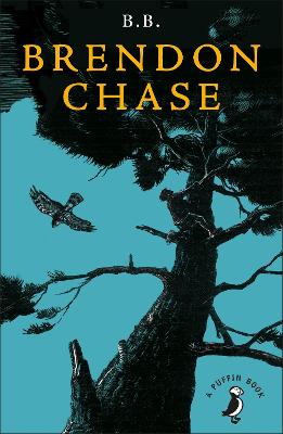 Book cover for Brendon Chase