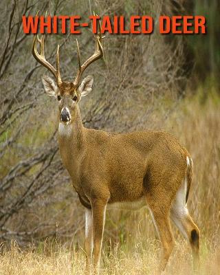 Book cover for White-Tailed Deer